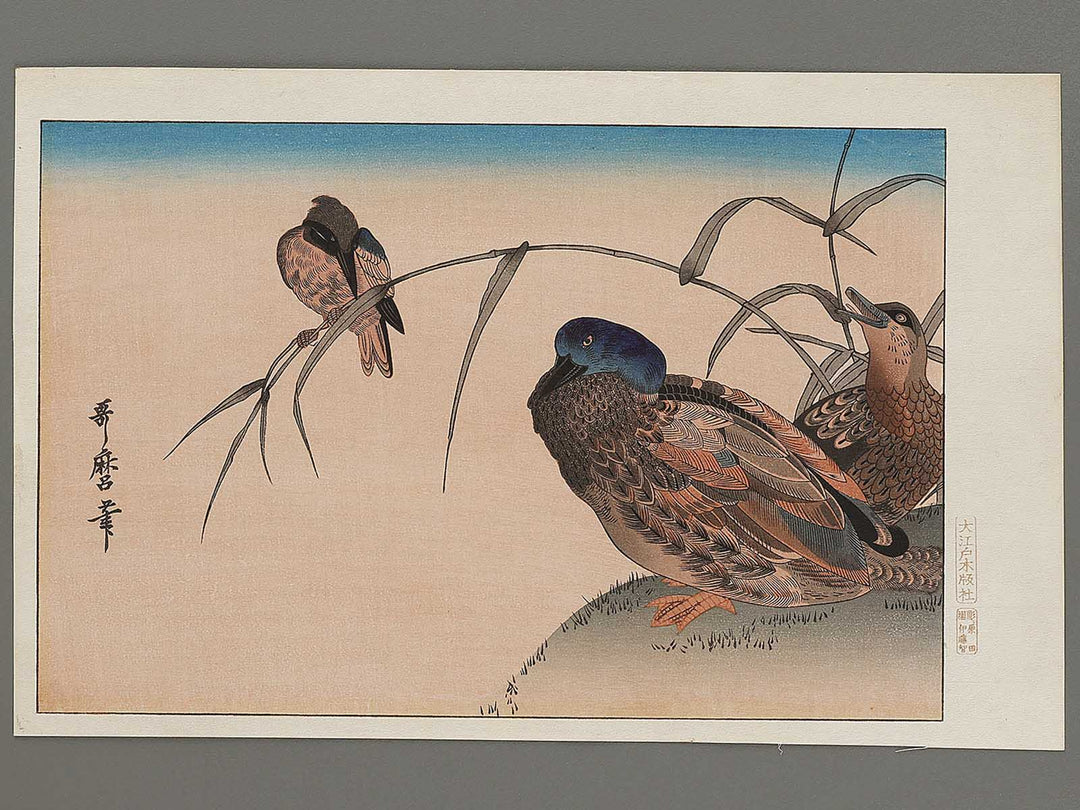 Duck and Kingfisher from the series Momotidori kyoka awase by Kitagawa Utamaro, (Large print size) / BJ331-667