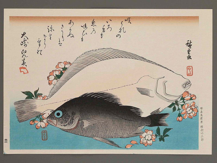 Halibut, Rockfish & Cherry Blossoms from the series the series FISH by Utagawa Hiroshige, (Large print size) / BJ237-664