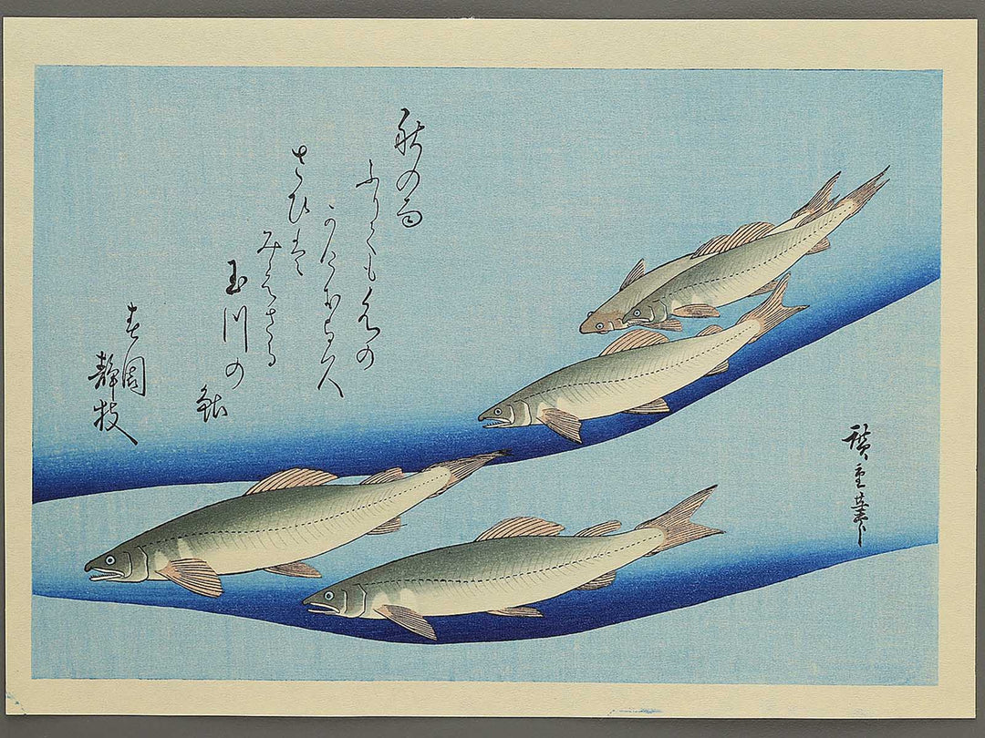 Ayu from the series the series FISH by Utagawa Hiroshige, (Medium print size) / BJ330-554