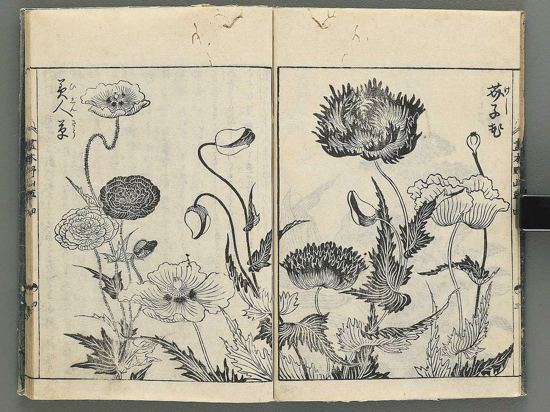Gahon noyama gusa Volume 4 / BJ346-332