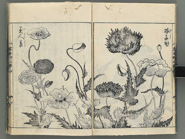Gahon noyama gusa Volume 4 / BJ346-332