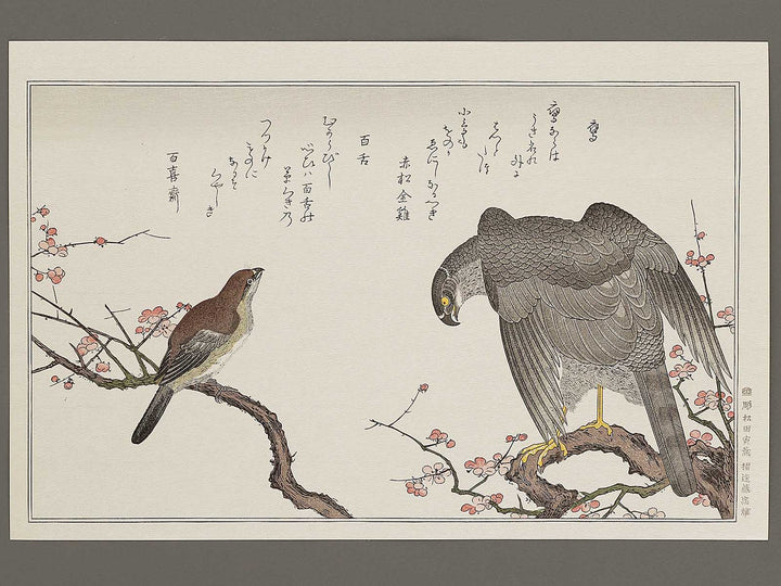 Hawk and Shrike from the series Momotidori kyoka awase by Kitagawa Utamaro, (Large print size) / BJ327-985