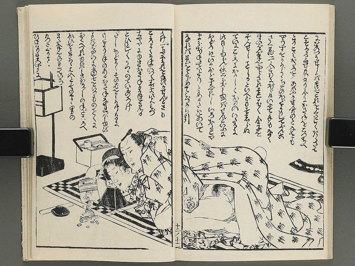 Insho kaiko ki Volume 12 by Utagawa Yoshikazu / BJ345-800