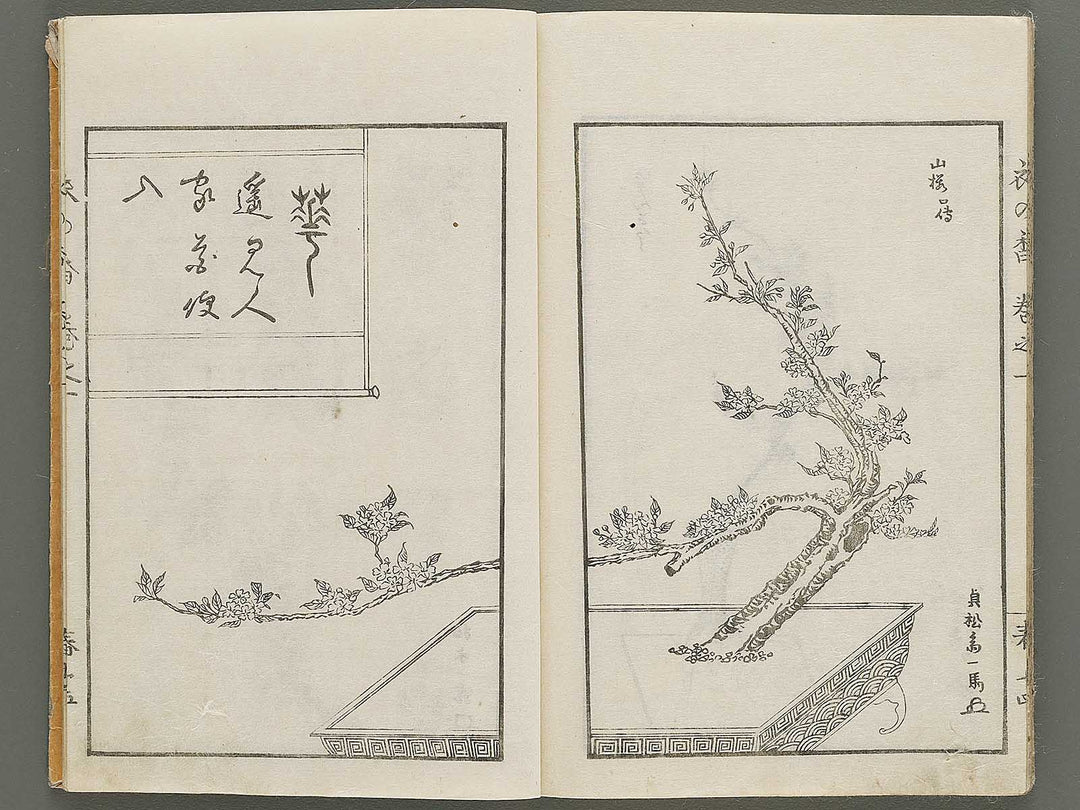 Soka koromonoka Volume 1 by Hishikawa Sori / BJ335-167