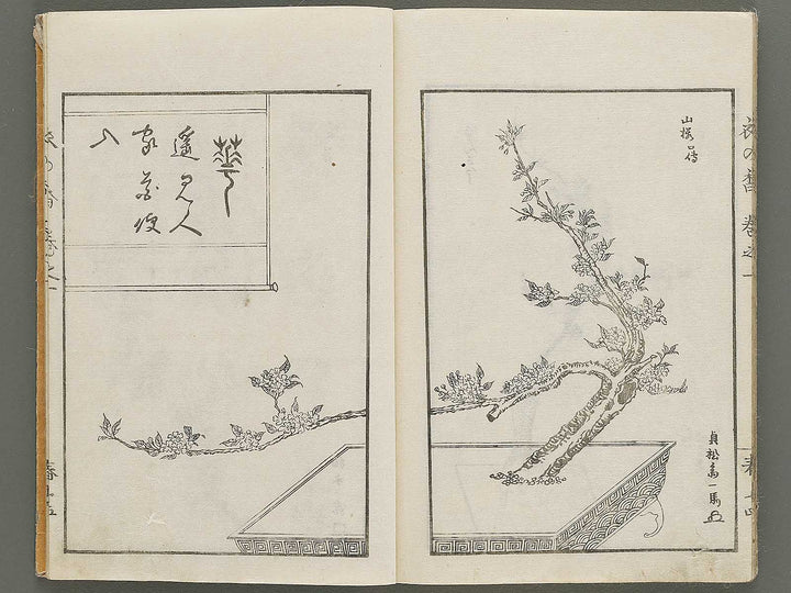 Soka koromonoka Volume 1 by Hishikawa Sori / BJ335-167