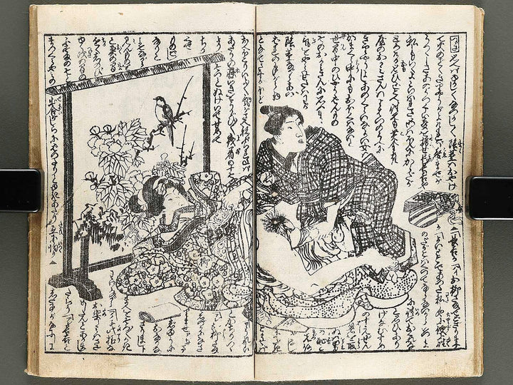 Chigusa no hana futatsu chocho / BJ326-802