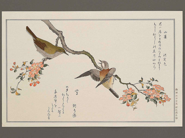 Mountain sparrow and Japanese bush warbler from the series Momochidori kyokaawase by Kitagawa Utamaro, (Large print size) / BJ328-062