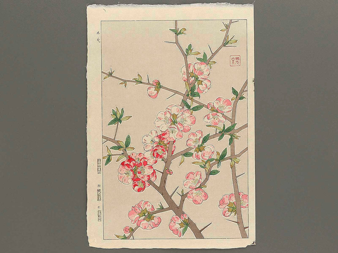Boke by Kawarazaki Shodo, (Large print size) / BJ346-255