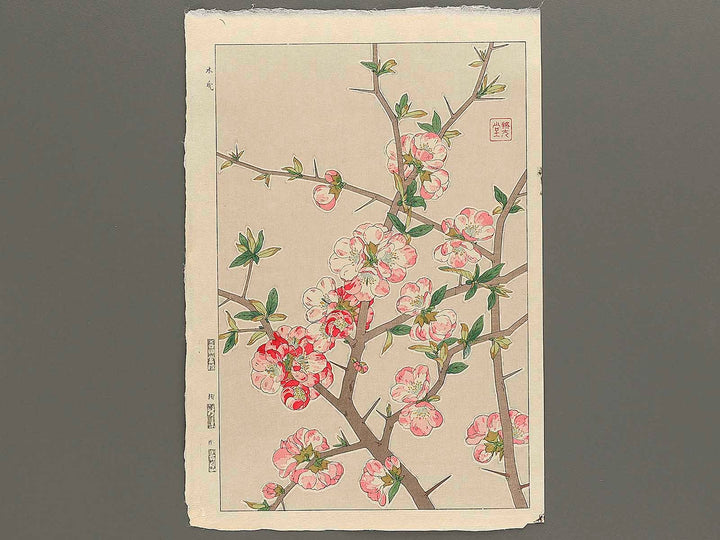 Boke by Kawarazaki Shodo, (Large print size) / BJ346-255