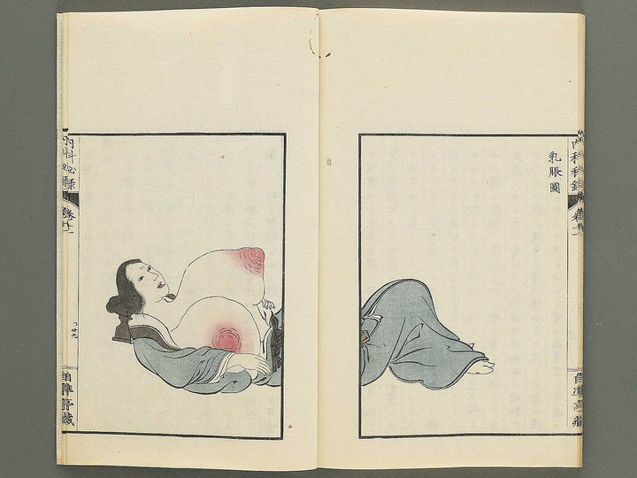 Naika hiroku Volume 11 / BJ350-721