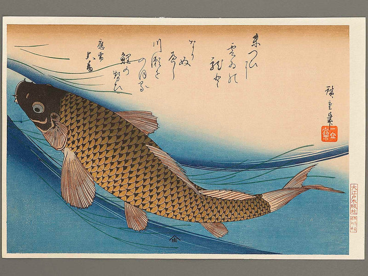 Japanese Carp from the series the series fish by Utagawa Hiroshige, (Large print size) / BJ322-819