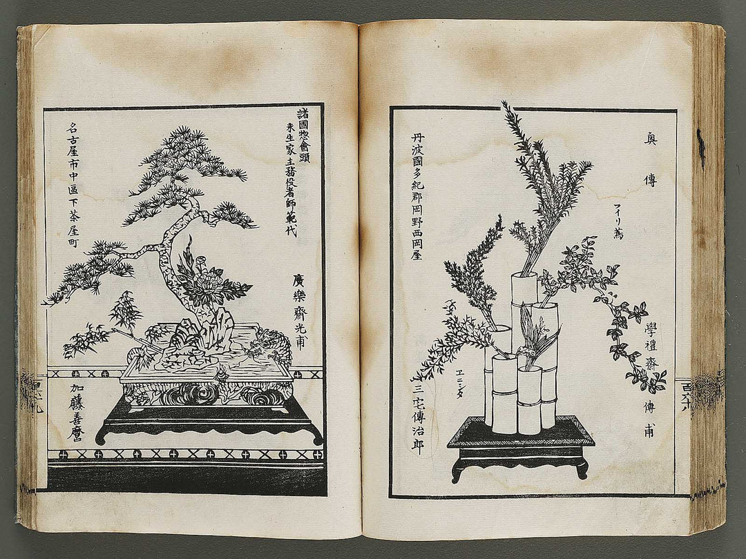 Kinen soka sanko no kaori (Ge) by Sawamura Riho / BJ324-688