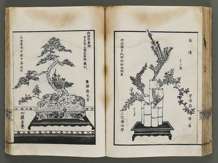 Kinen soka sanko no kaori (Ge) by Sawamura Riho / BJ324-688