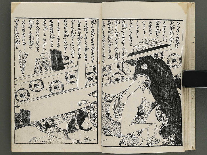 Insho kaiko ki Volume 5 by Utagawa Yoshikazu / BJ345-744