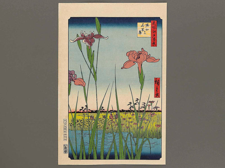 Horikiri Iris Garden from the series One Hundred Famous Views of Edo by Utagawa Hiroshige, (Large print size) / BJ328-370