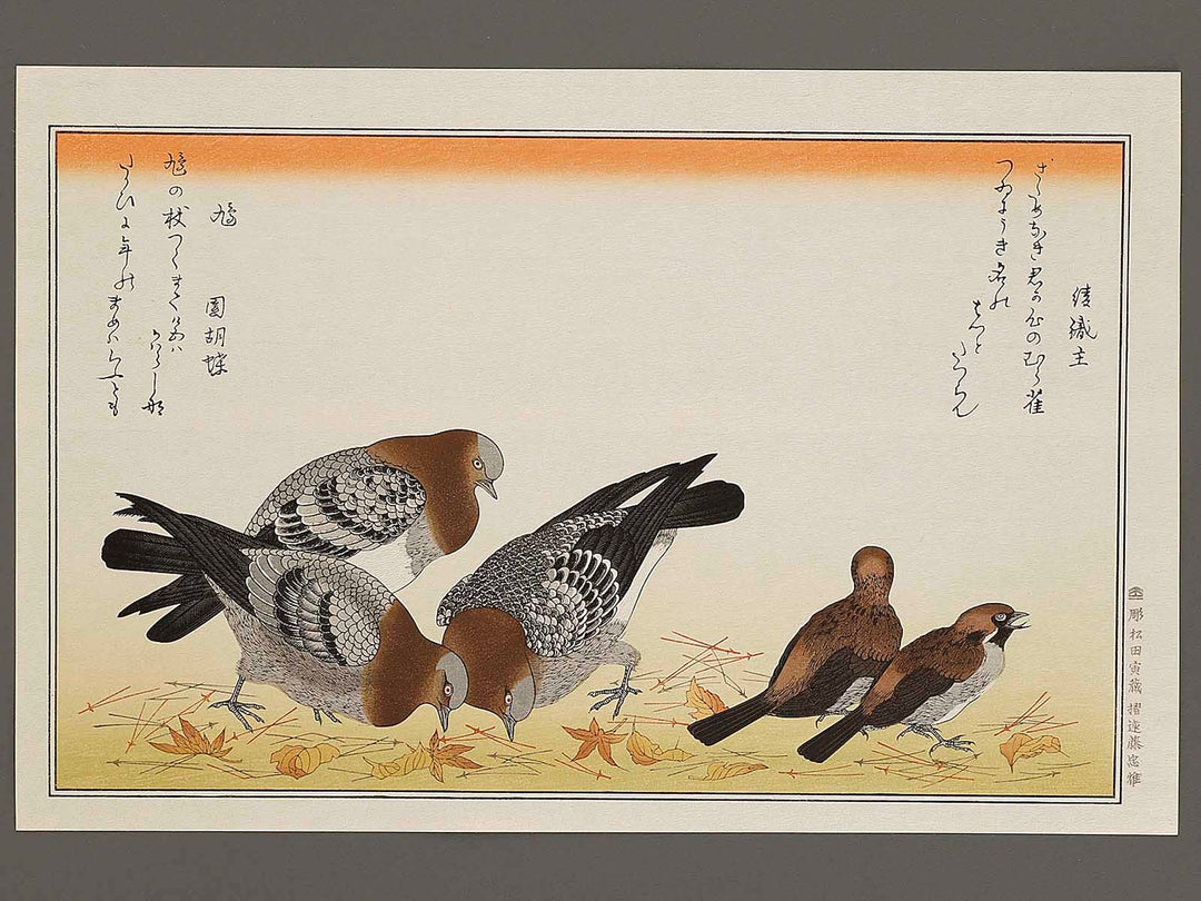 A flock of sparrows and Dove from the series Momochidori kyokaawase by Kitagawa Utamaro, (Large print size) / BJ328-055