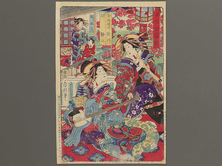 Konpeiro nai Sagawa do Shizue from the series Shogi zensei kagami by Utagawa Fusatane / BJ352-527