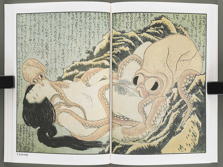 Ezoshi Konoe no komatsu Volume 3 by Katsushika Hokusai / BJ346-437