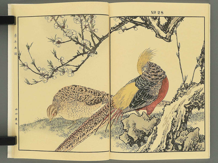 Keinen kacho gafu (Haru no bu) by Imao Keinen / BJ337-848