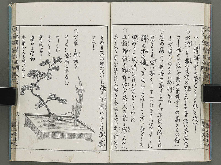 Shoryu hiden ikebana dokushu jizai Volume 1 / BJ332-738