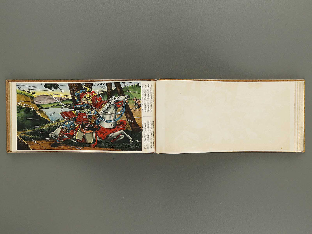 Kokushi gacho yamato zakura / BJ325-962