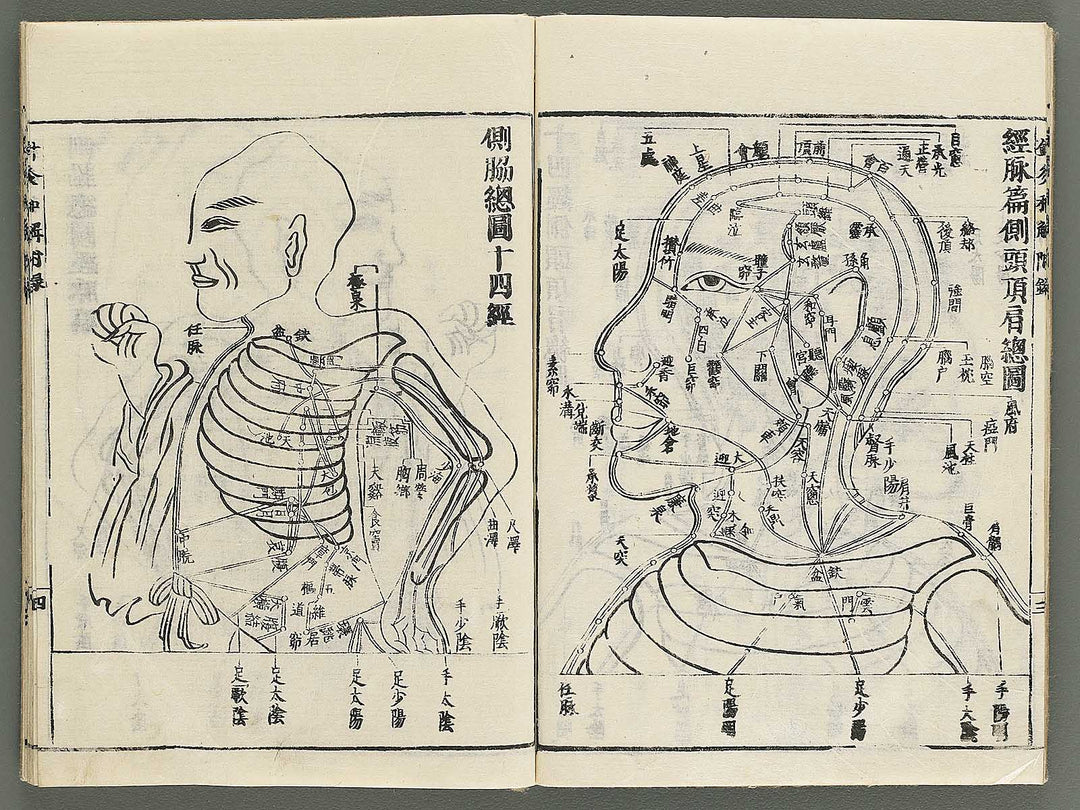 Shikyu wage (furoku) by Okamoto Ippo / BJ347-459