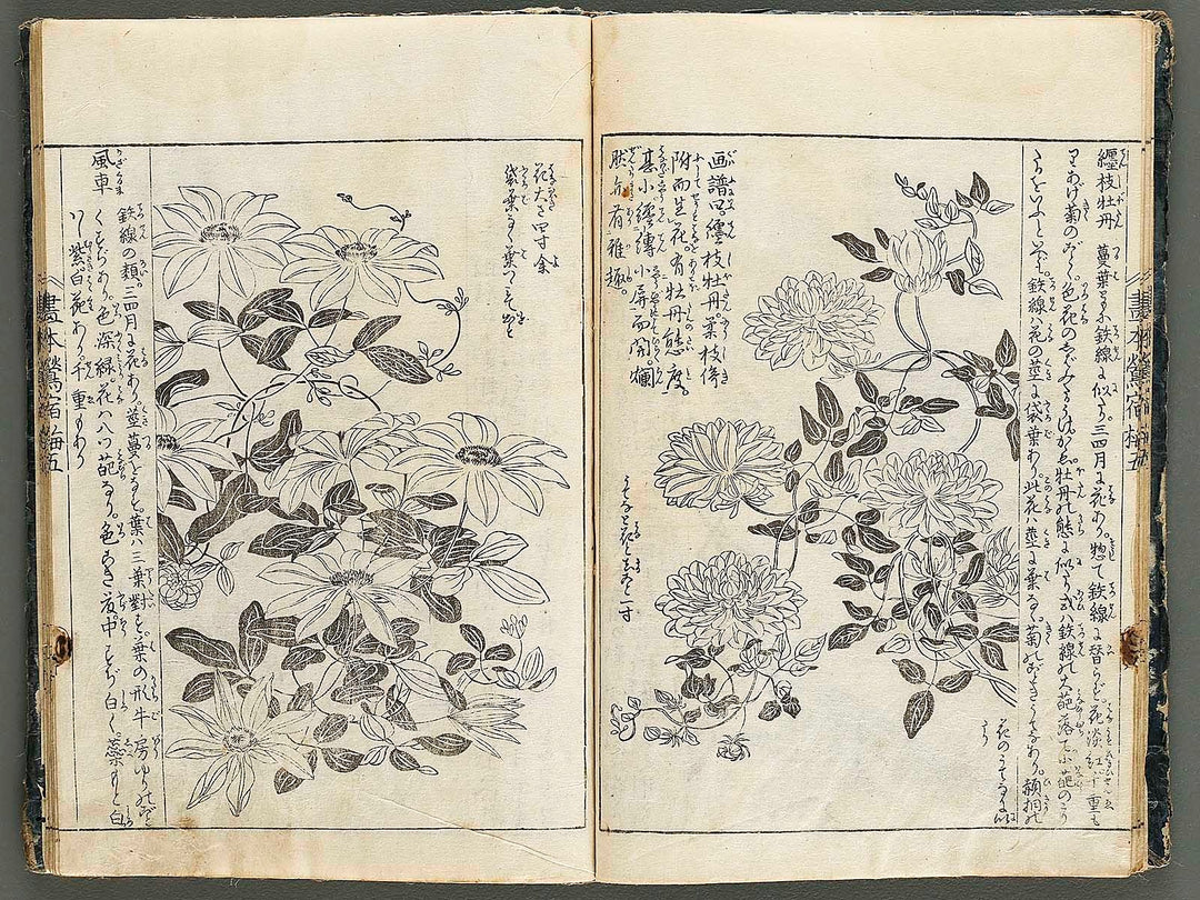 Ehon oushukubai Volume 5 by Tachibana Morikuni / BJ327-691