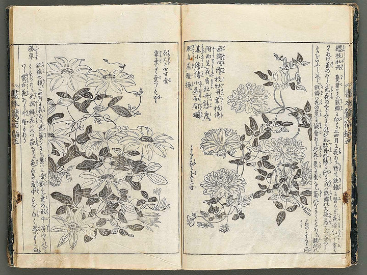 Ehon oushukubai Volume 5 by Tachibana Morikuni / BJ327-691