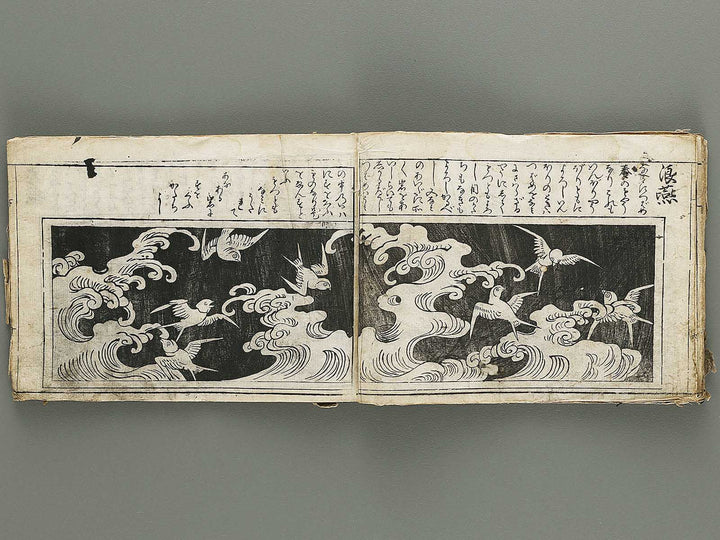 Ranma hinagata (Ge) / BJ336-056