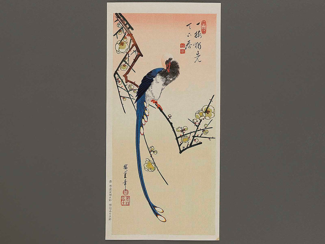 White plum blossoms & long tailed cock by Utagawa Hiroshige, (Medium print size) / BJ328-090