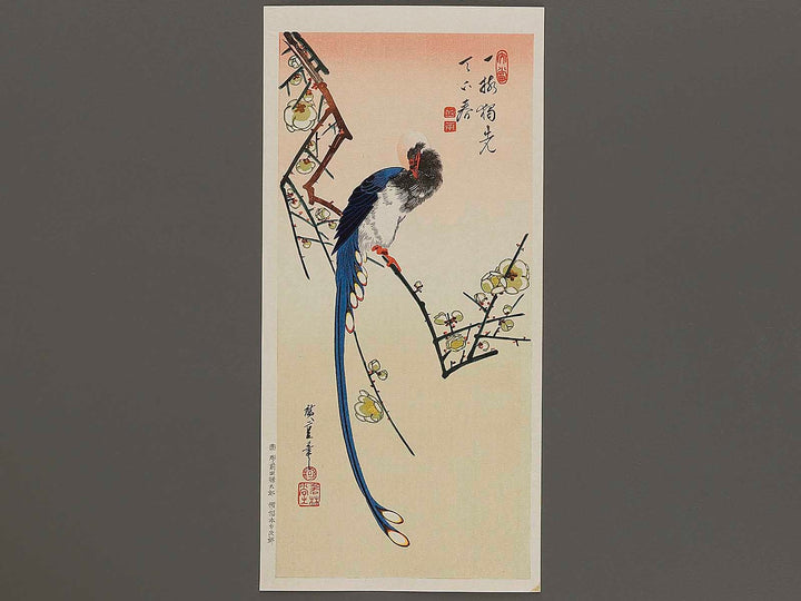 White plum blossoms & long tailed cock by Utagawa Hiroshige, (Medium print size) / BJ328-090