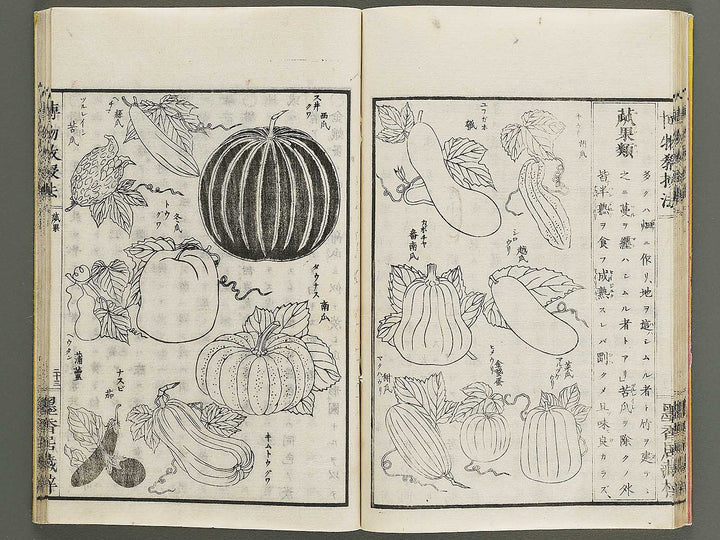 Hakubutsu kyojyuho Volume 1 / BJ341-572