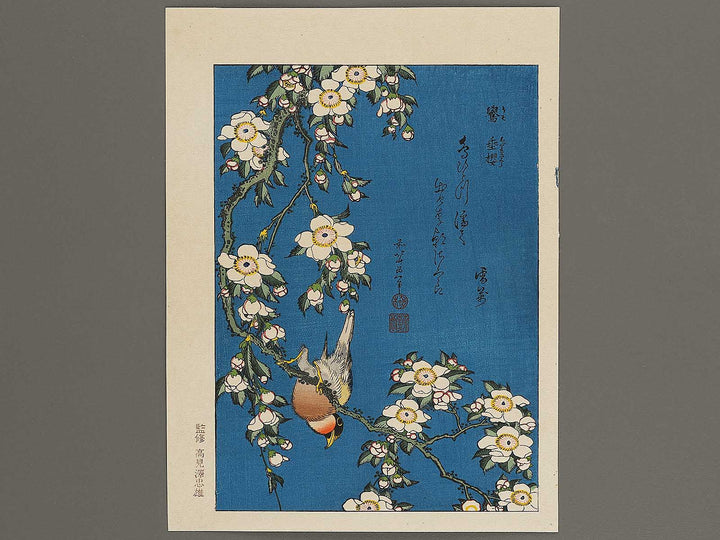 Weeping cherry blossoms against a dark indigo background, capturing the moment a Japanese bullfinch comes to peck at the blossoms. by Katsushika Hokusai, (Medium print size) / BJ323-708