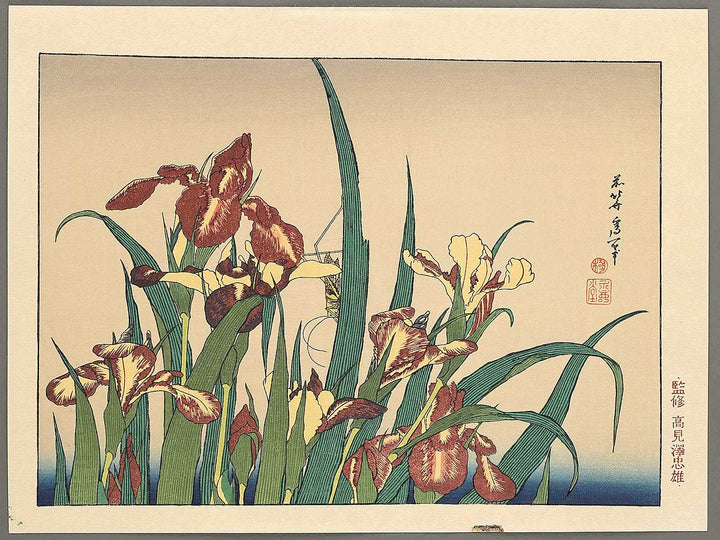 Iris and Grasshopper by Katsushika Hokusai, (Medium print size) / BJ307-426