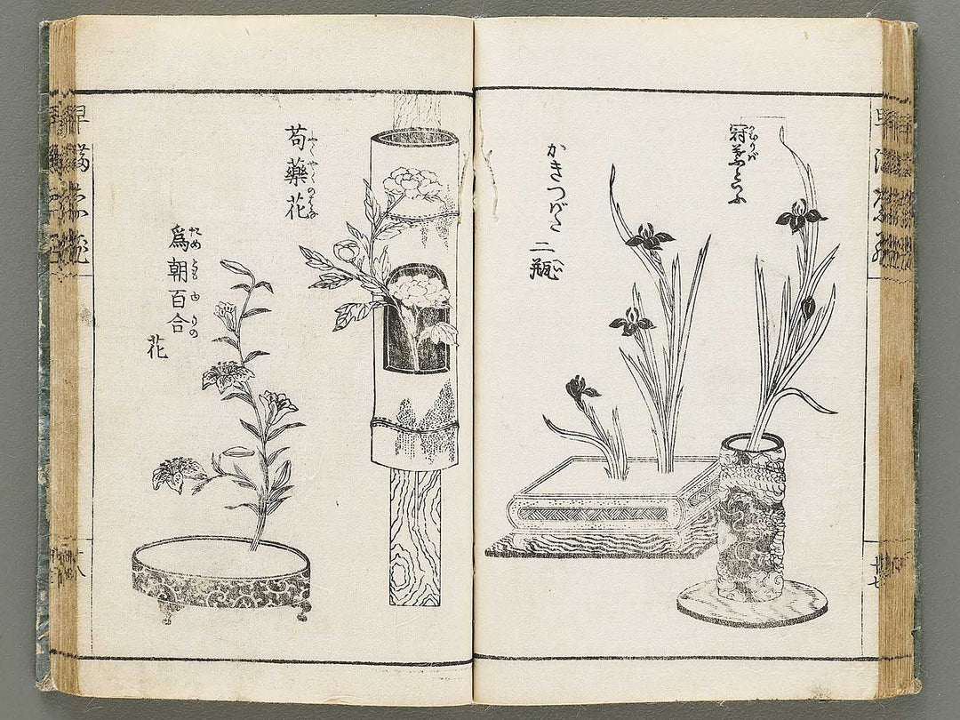 Ikebana hayamanabi / BJ331-275