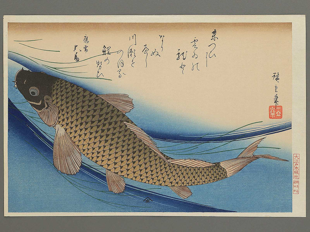 Japanese Carp from the series the series fish by Utagawa Hiroshige, (Large print size) / BJ350-224