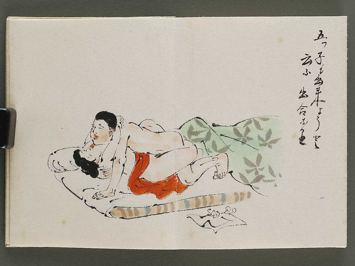 Gendai senryu kaigashu / BJ325-731