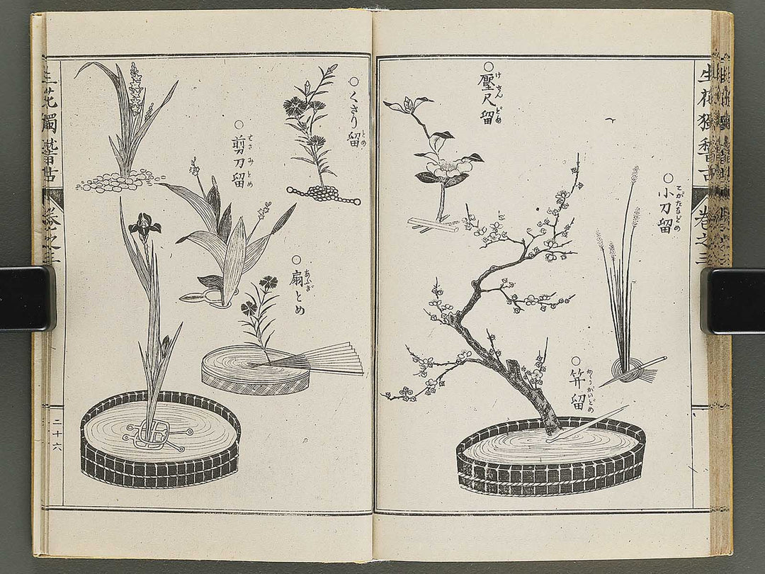 Shoryu hiden ikebana hitorigeiko Volume 3 / BJ347-942
