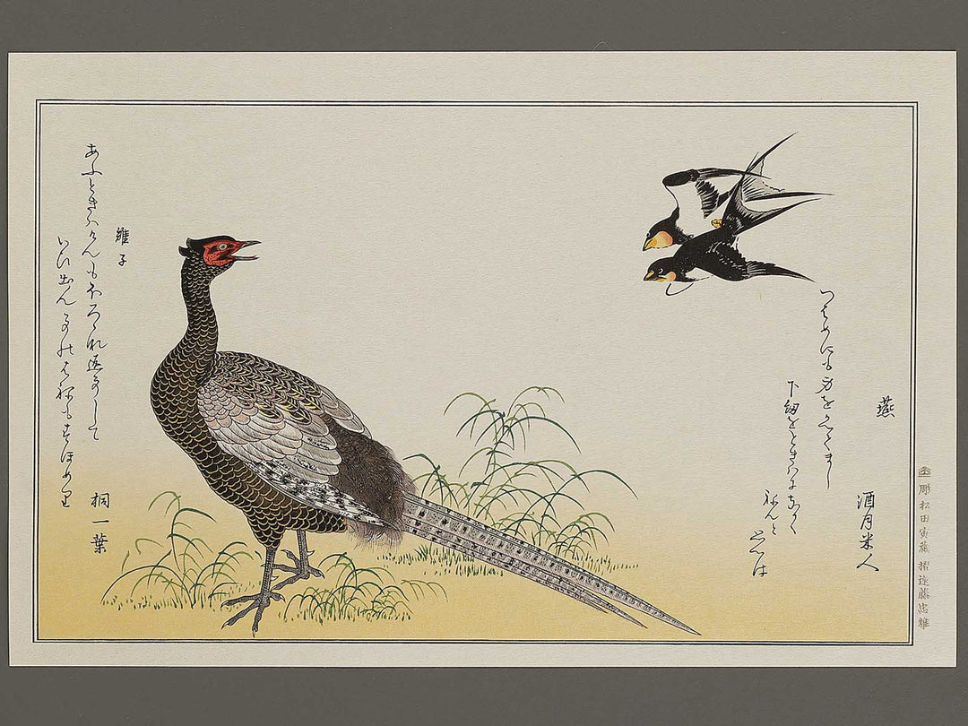 Swallow and Pheasant from the series Momochidori kyoka awase by Kitagawa Utamaro, (Large print size) / BJ327-964