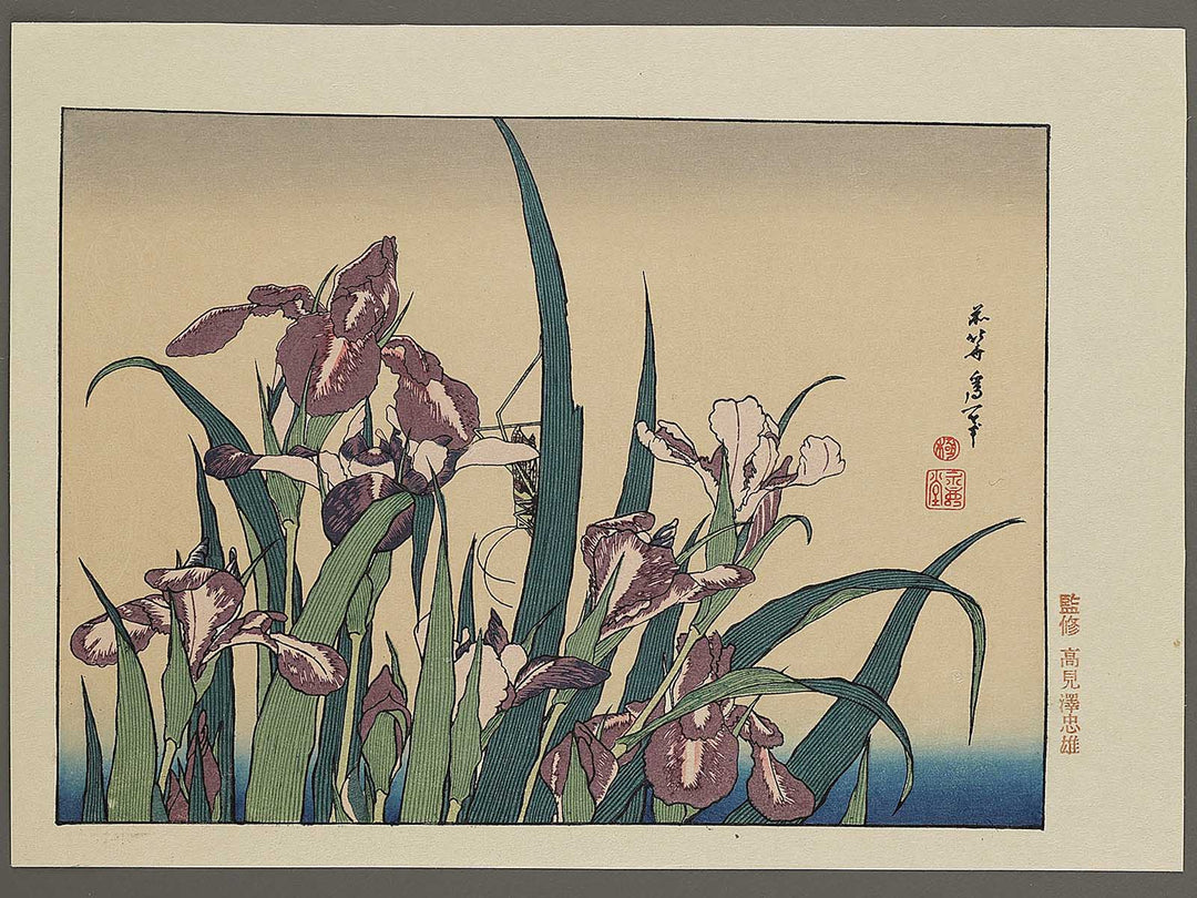 Iris and Grasshopper by Katsushika Hokusai, (Medium print size) / BJ327-432