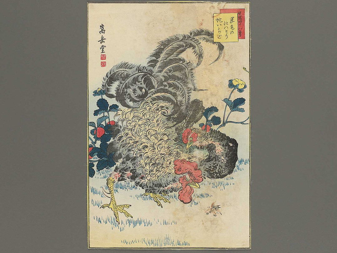 Sakage no niwatori Hebiichigo from the series Sho utsushi  shijuhattaka by Sugakudo / BJ343-518