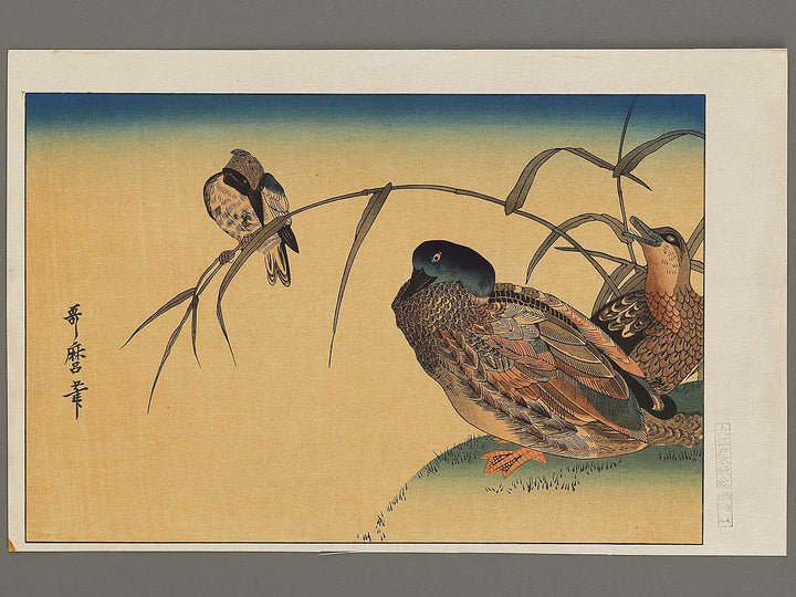 Duck and Kingfisher from the series Momotidori kyoka awase by Kitagawa Utamaro, (Large print size) / BJ328-349