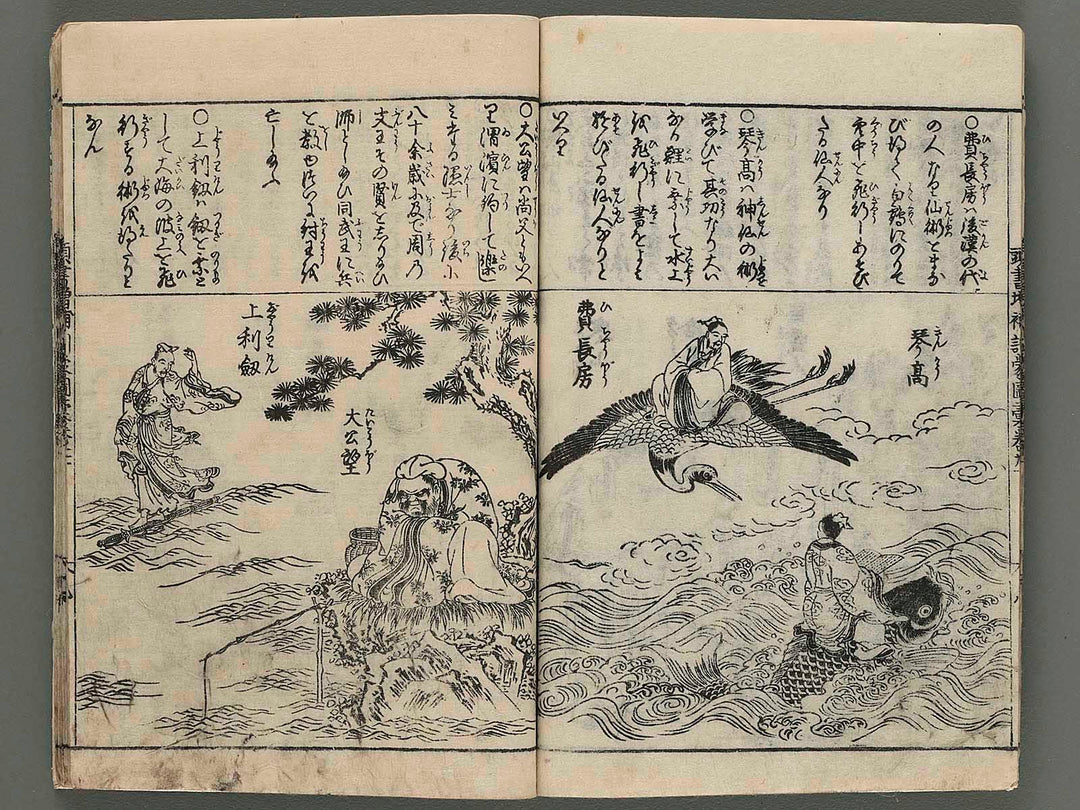 Kashiragaki zoho kinmo zui Vol.21 by Shimokawabe Shusui / BJ246-001