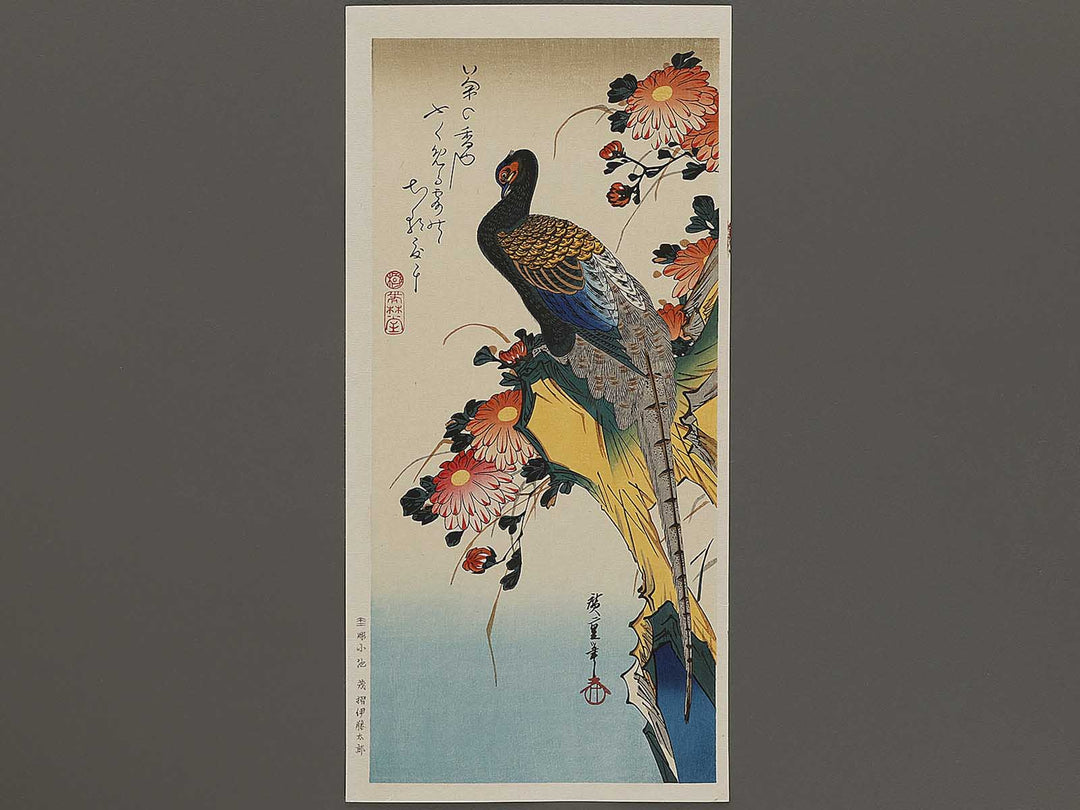 Chrysanthemum & pheasant by Utagawa Hiroshige, (Medium print size) / BJ328-111