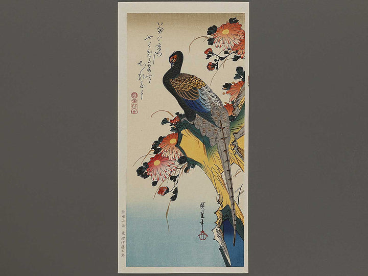 Chrysanthemum & pheasant by Utagawa Hiroshige, (Medium print size) / BJ328-111