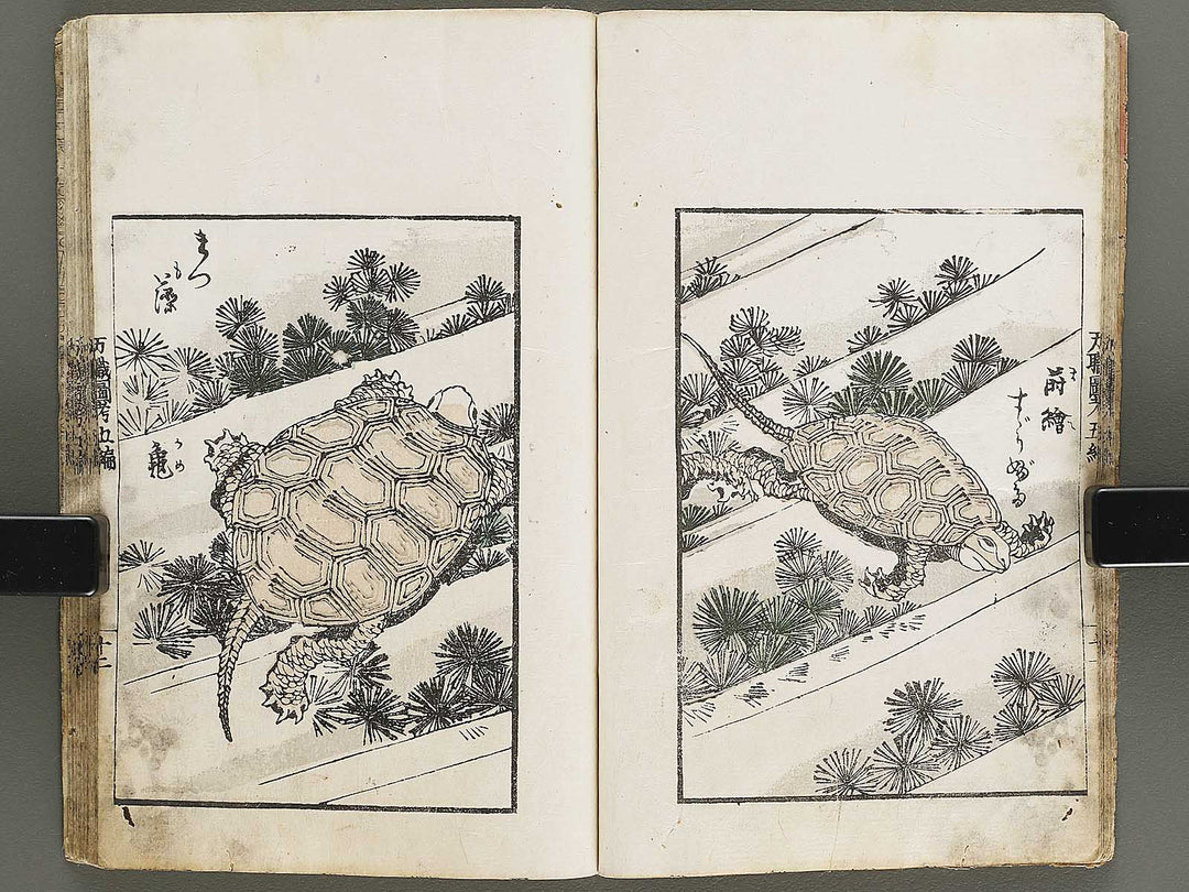 Banshoku zuko Volume 5 by Katsushika Hokusai / BJ326-116