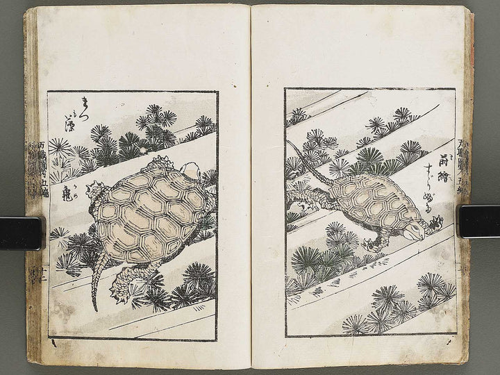 Banshoku zuko Volume 5 by Katsushika Hokusai / BJ326-116