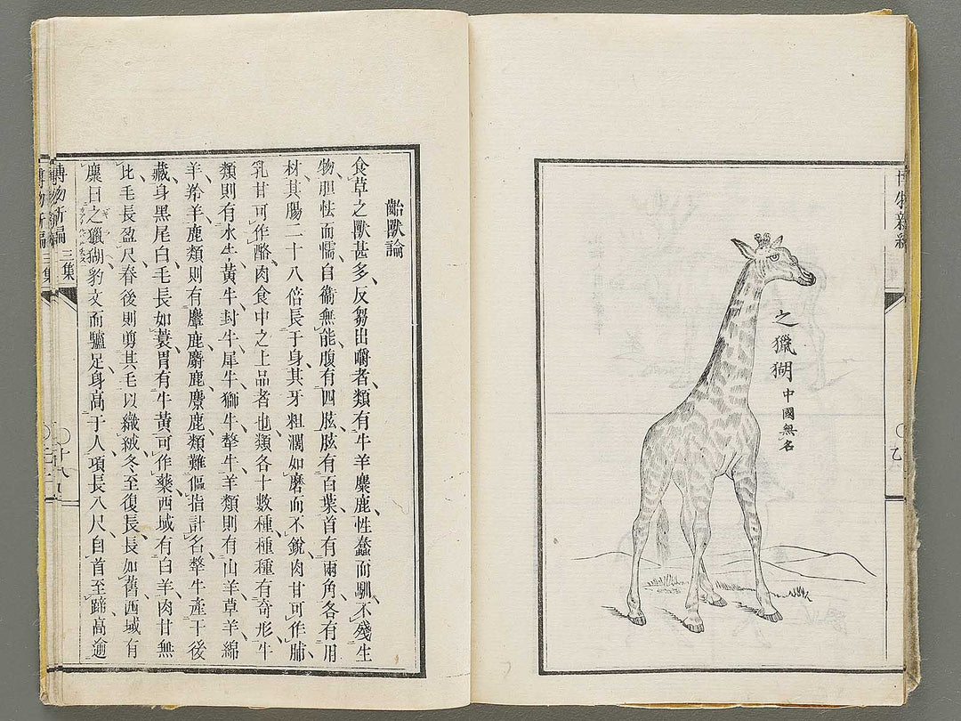 Hakubutsu Shinpen Volume 3 / BJ330-869