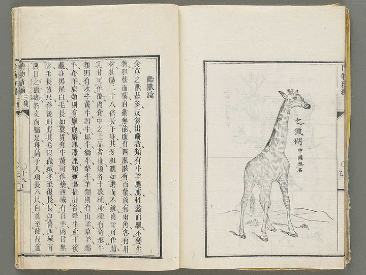 Hakubutsu Shinpen Volume 3 / BJ330-869