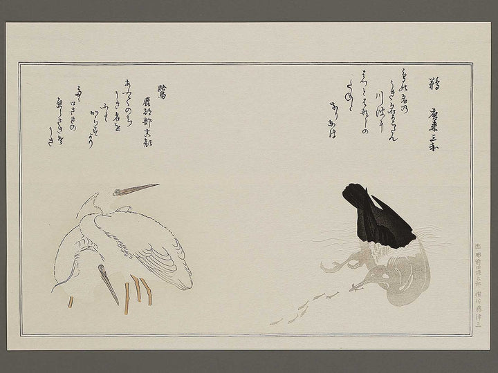 Cormorant and Heron from the series Momochidori kyoka awase by Kitagawa Utamaro, (Large print size) / BJ328-041
